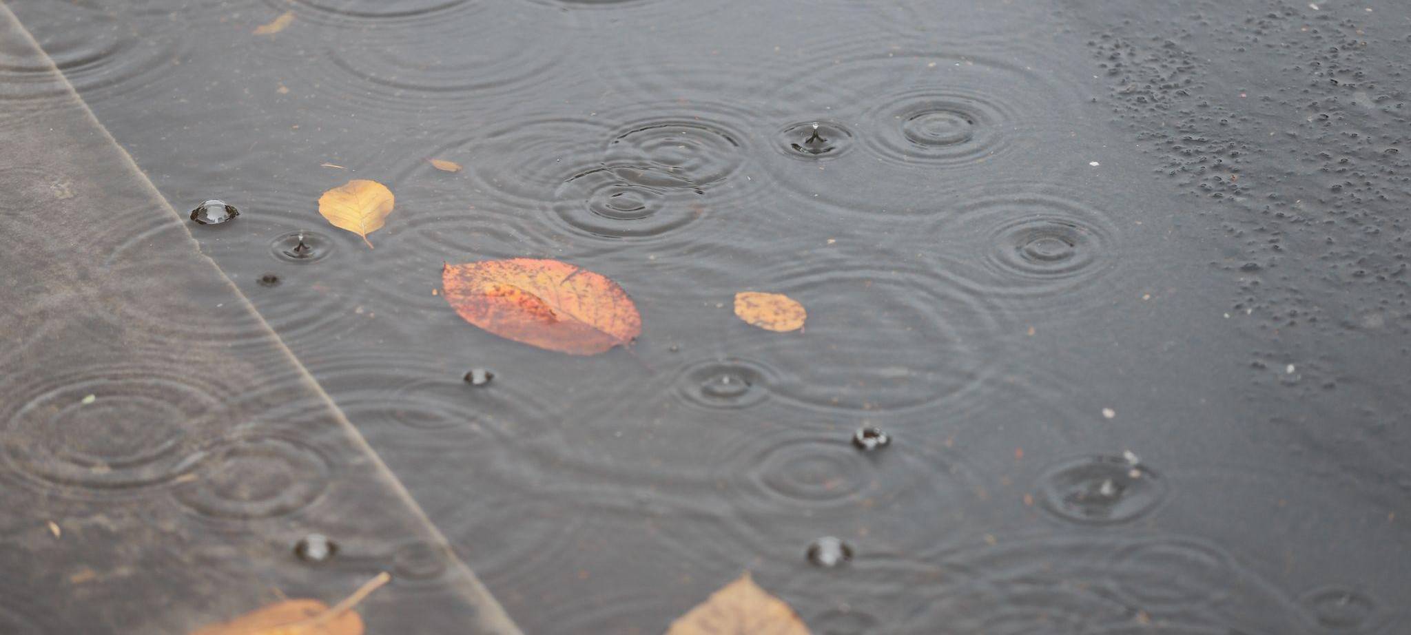 Wetter in Bergisch Gladbach