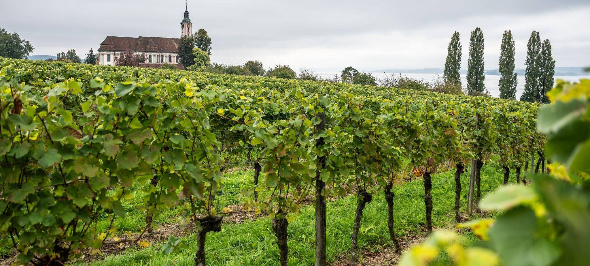 Wetter in Baden-Württemberg