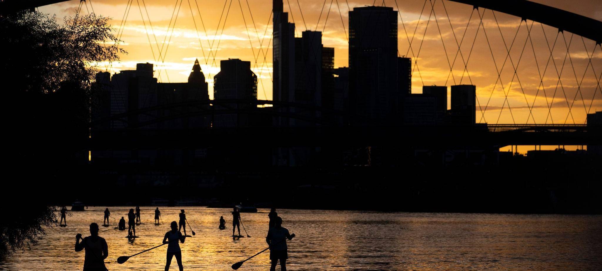 Stand-Up-Paddling auf dem Main