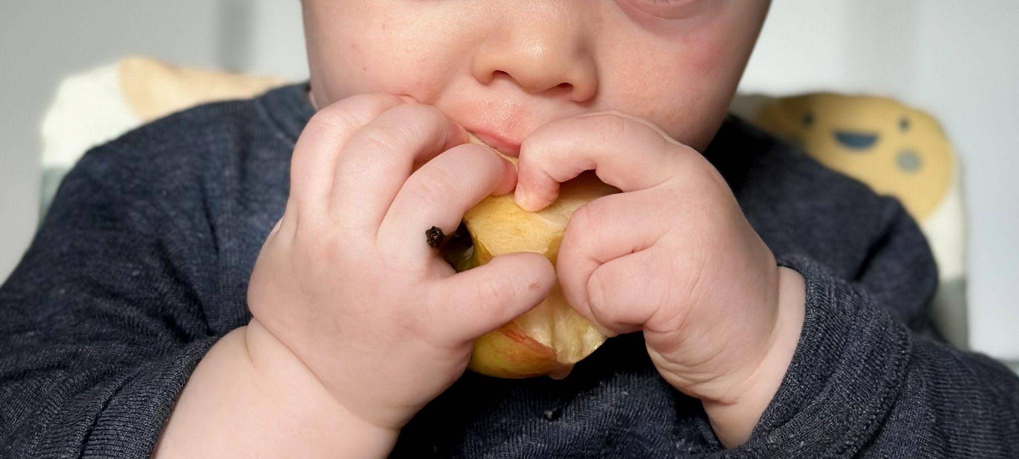 Ein sieben Monate altes Babz isst einen Apfel