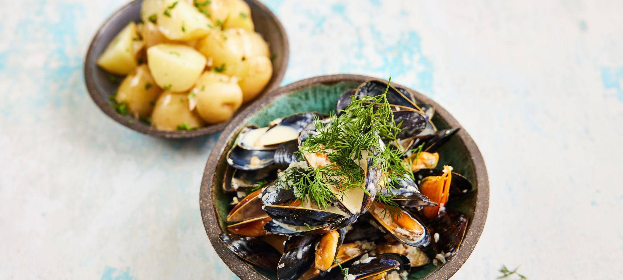 Nordische Miesmuscheln in Meerrettich-Sahnesoße