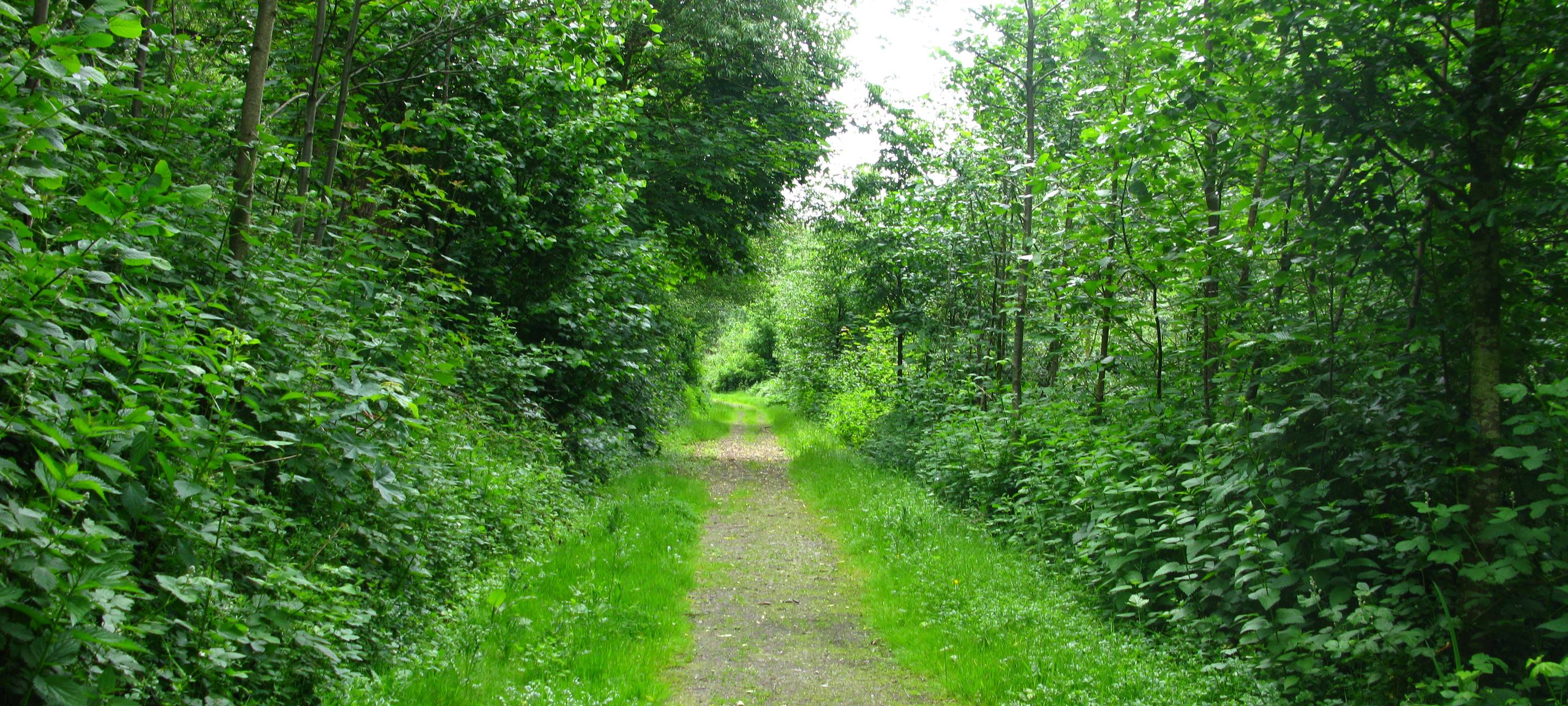 Streckenweise Dortmund