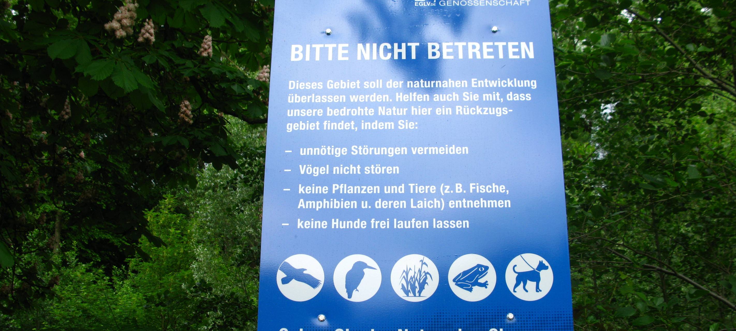 Streckenweise Dortmund