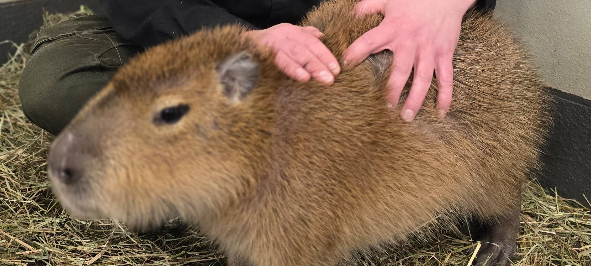 Marcel Stawinoga ist Zoolotse im Dortmunder Zoo.