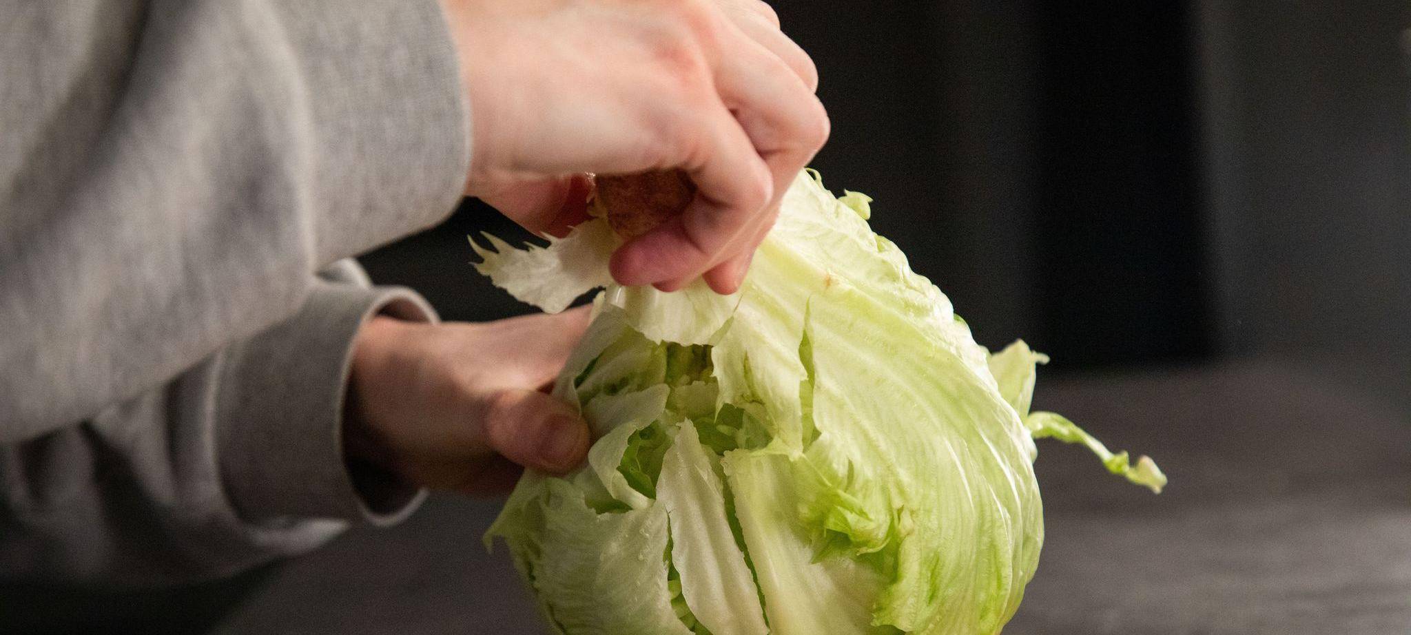 Der Strunk eines Salatkopfs wird entfernt