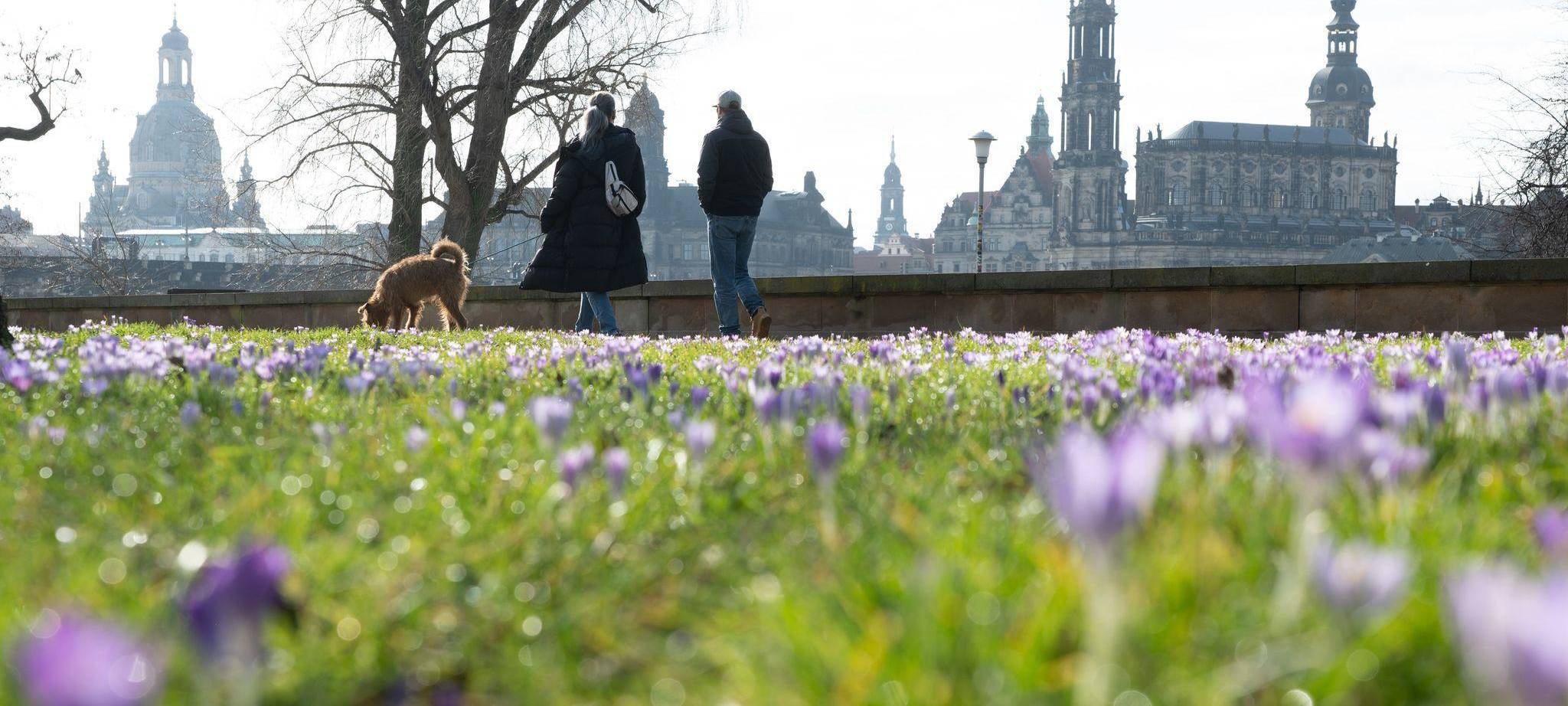 Frühling in Sachsen