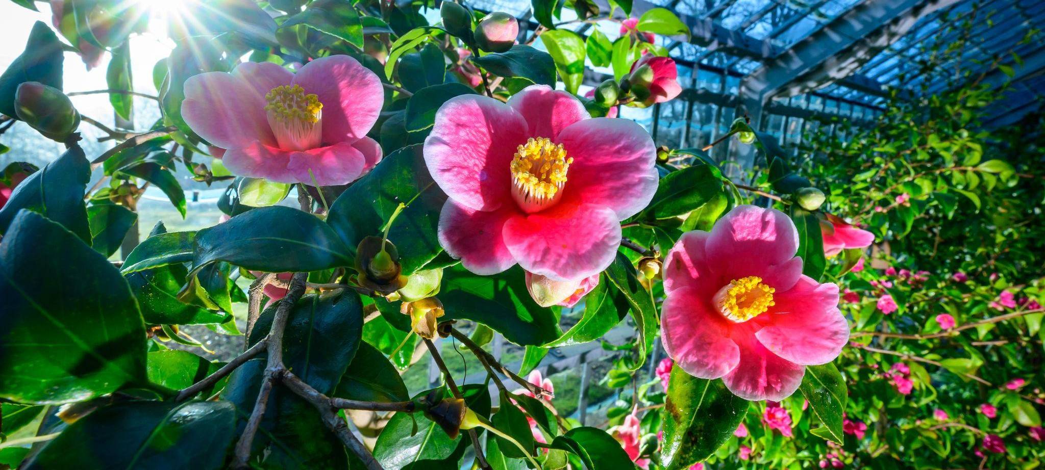 Frühlingshaftes Wetter in Brandenburg