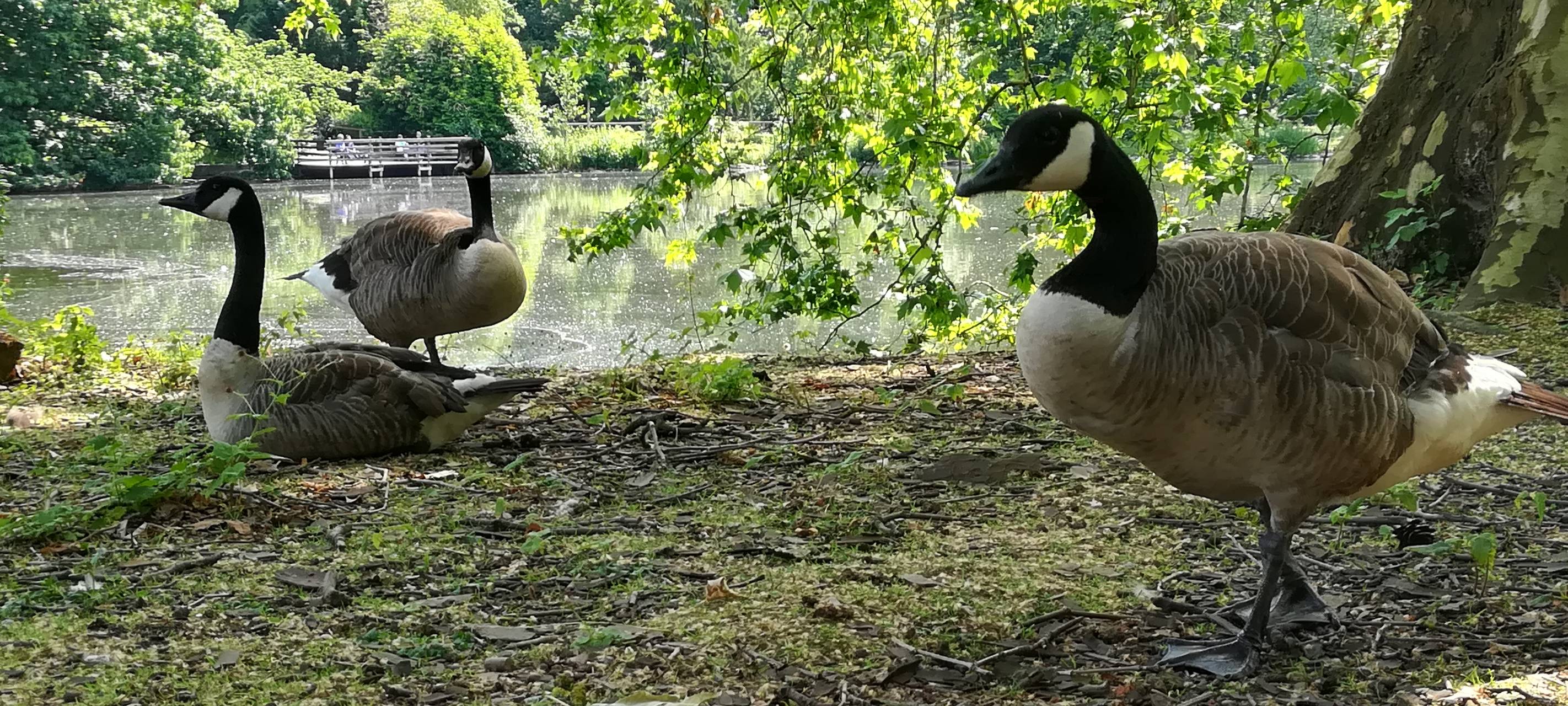 Unschöne Hinterlassenschaften