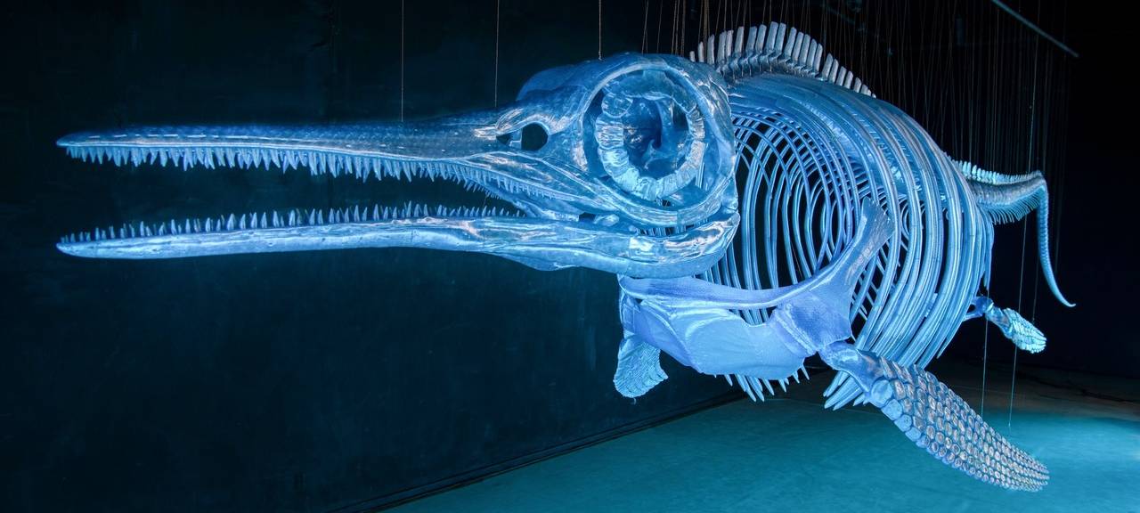 Neues Kunstwerk für Dortmund: Dino-Skelett aus alten Plastikflaschen