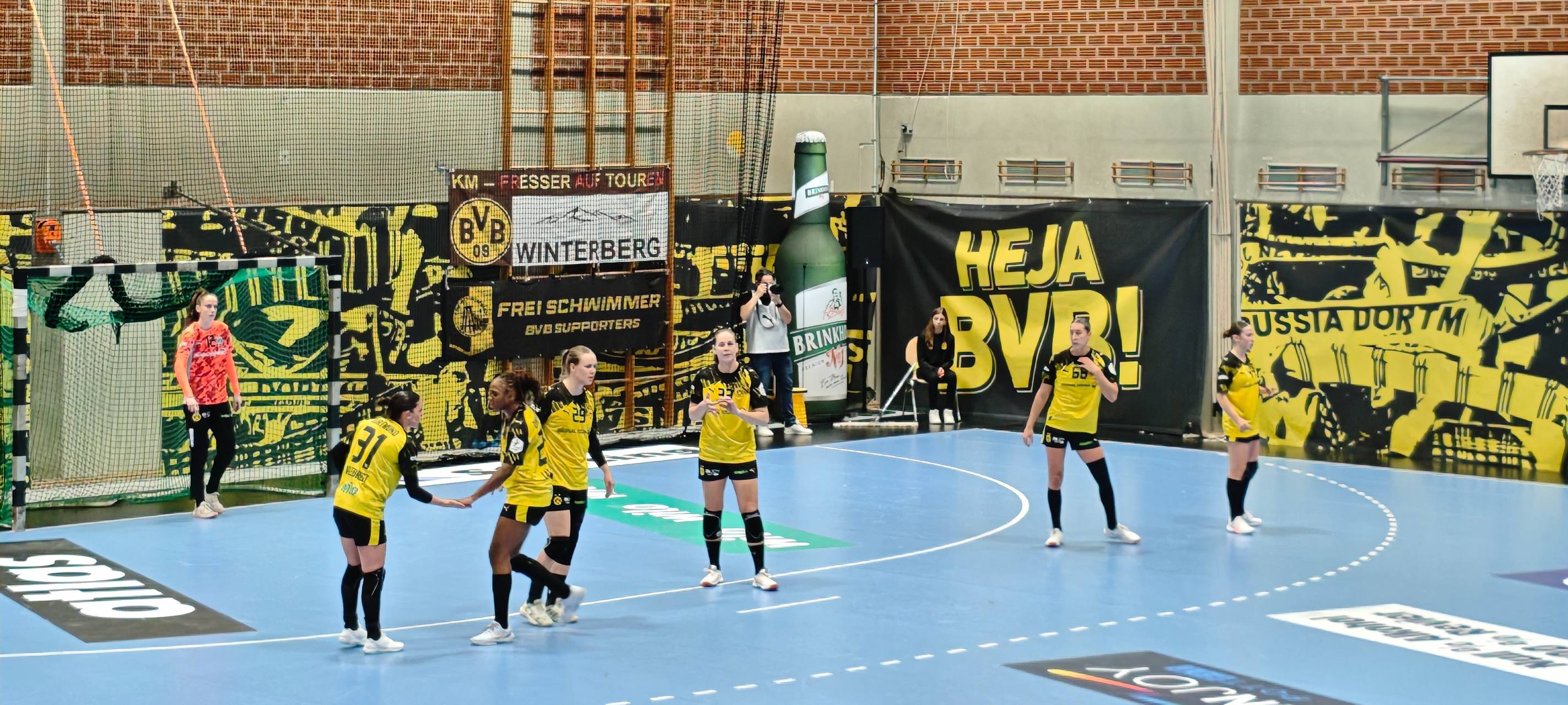 BVB will neue Sporthalle haben