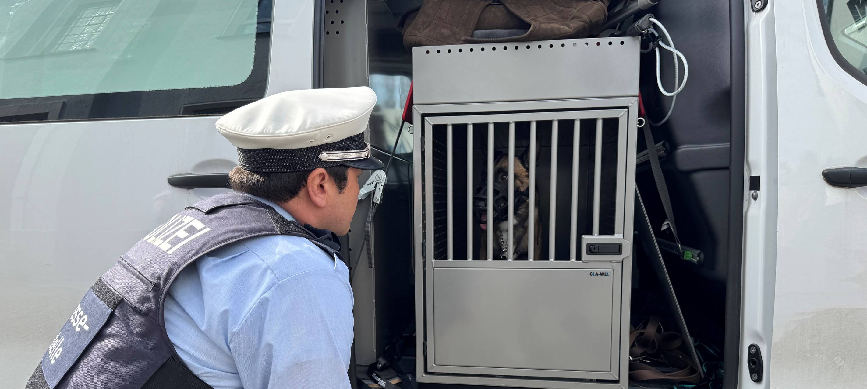 Dortmund: Schäferhund nach Misshandlung befreit