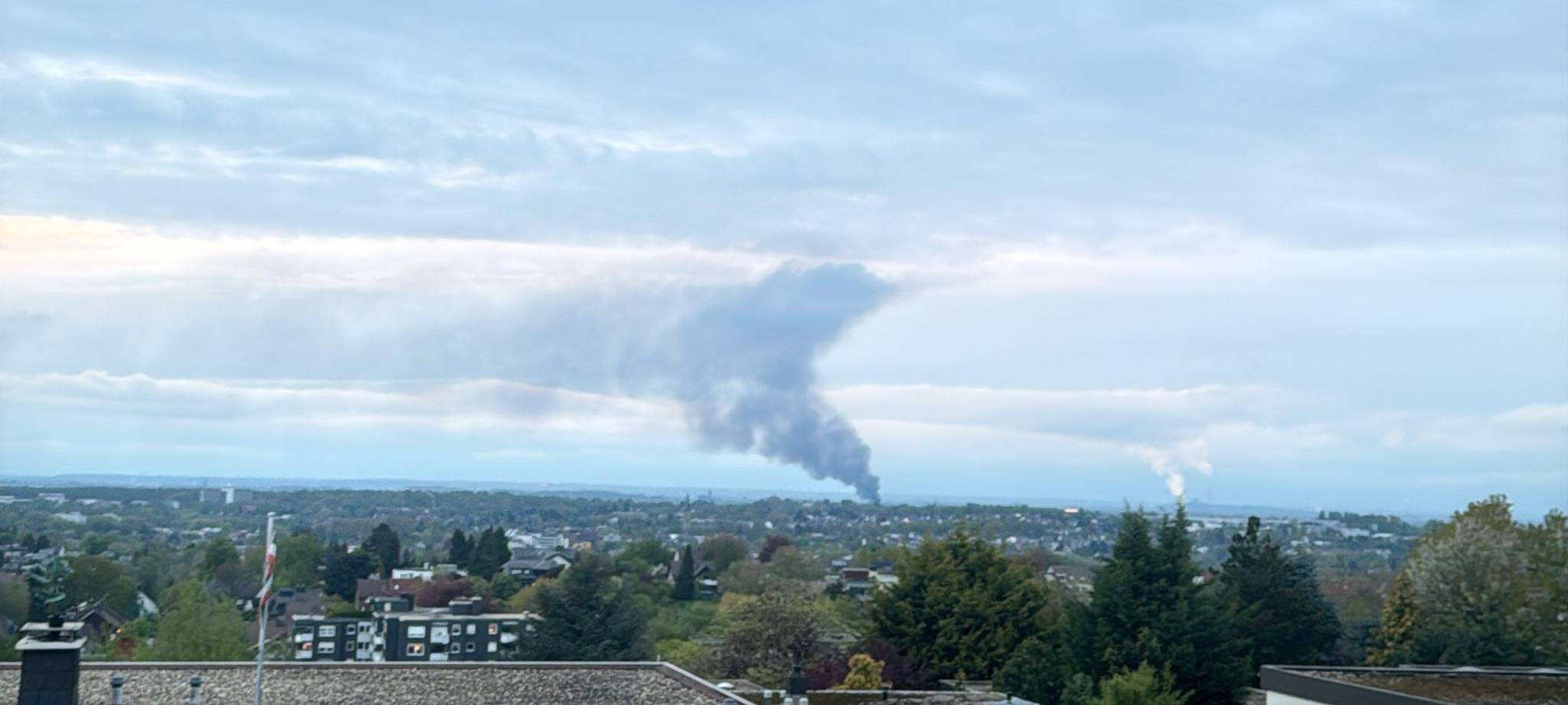 Feuer im Naturschutzgebiet Buschei in Dortmund