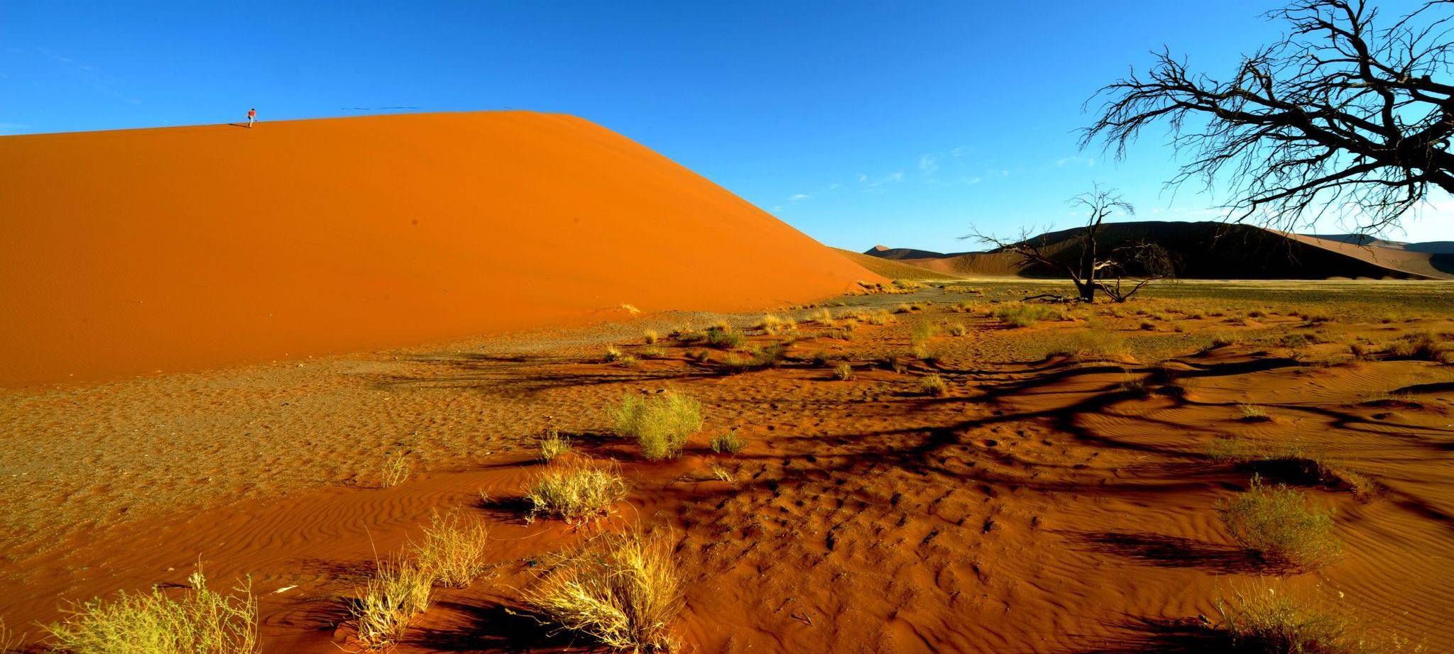 Sanddünen in Sossusvlei