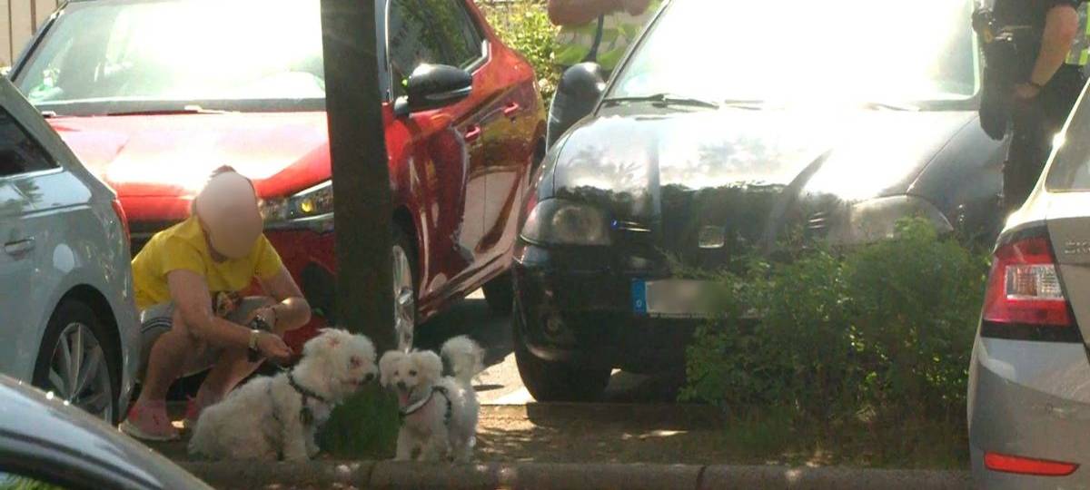 Hunde im Auto bei Hitze Polizei Warnung