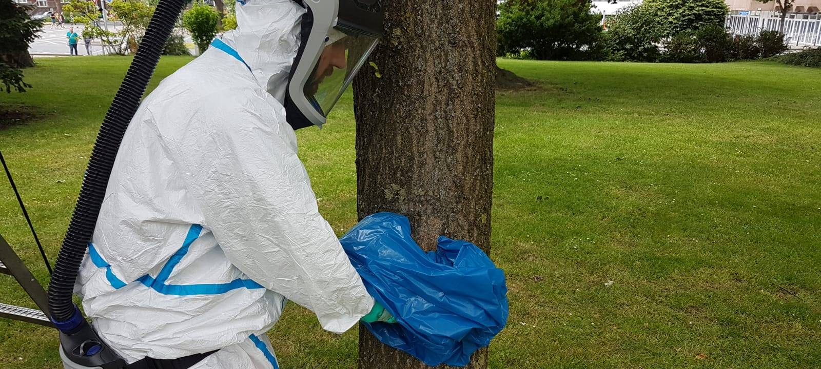 Zwei Parks sind teilweise wieder geöffnet