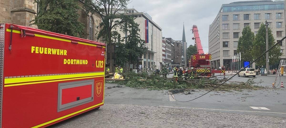 Baum Reinoldikirche umgestürtzt Feuerwehr