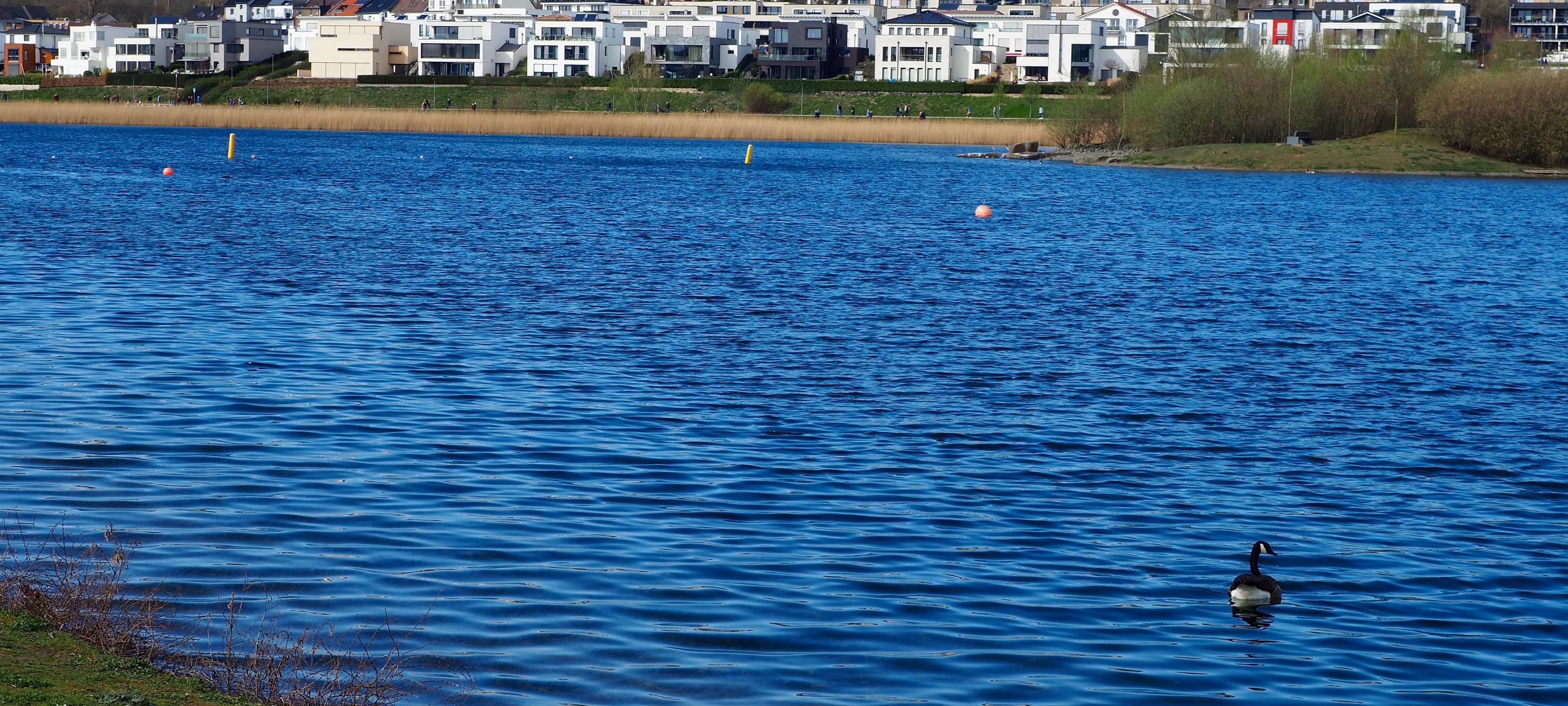 Triathlon am Phoenix See