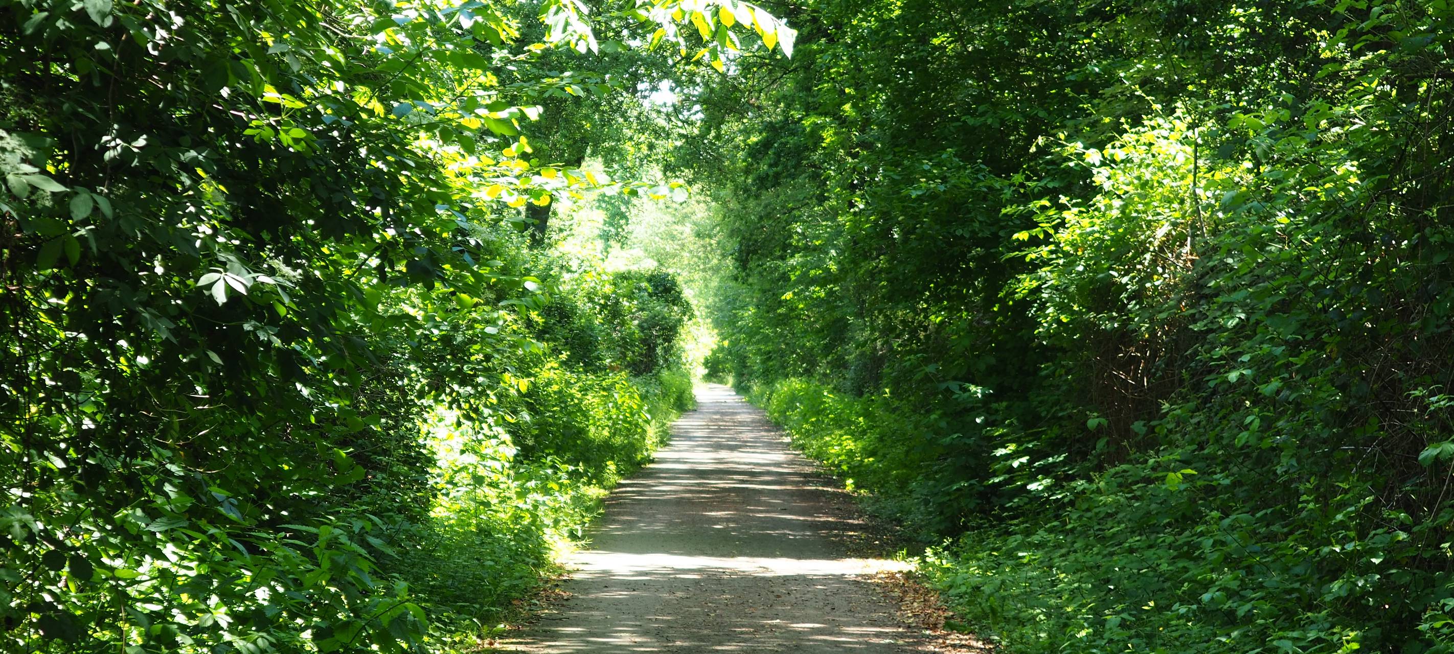 Streckenweise Dortmund