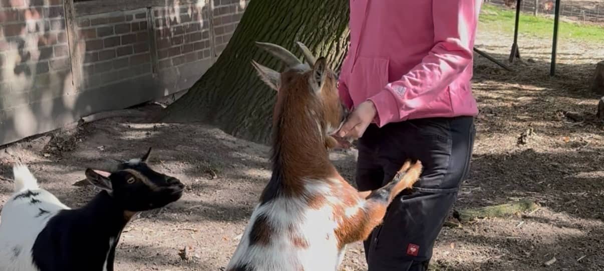 Die schönsten Höfe in Dortmund