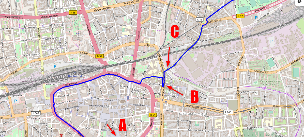 Route der Fahrraddemo