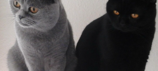 Radio 91.2 macht's Euch schön!