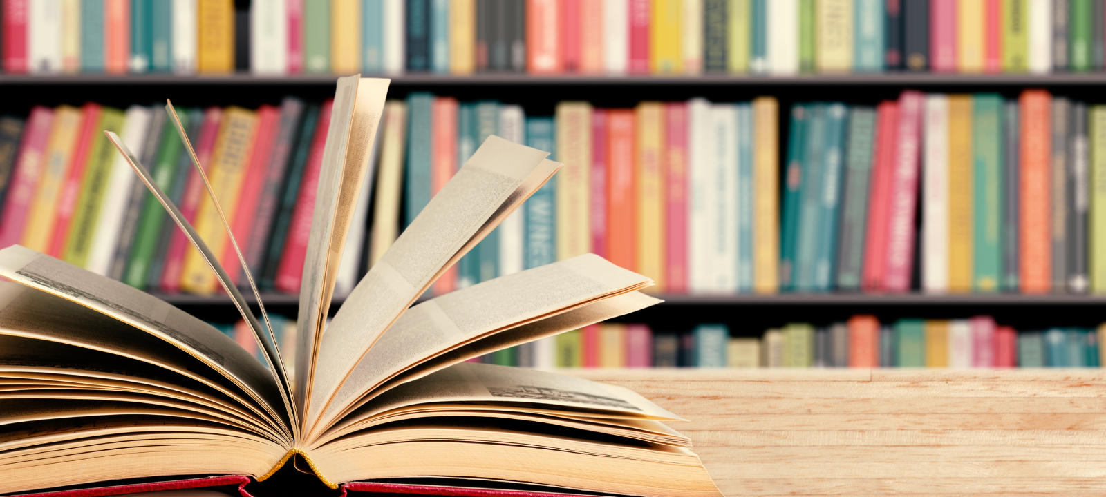 Buchtipps des Jahres 2021