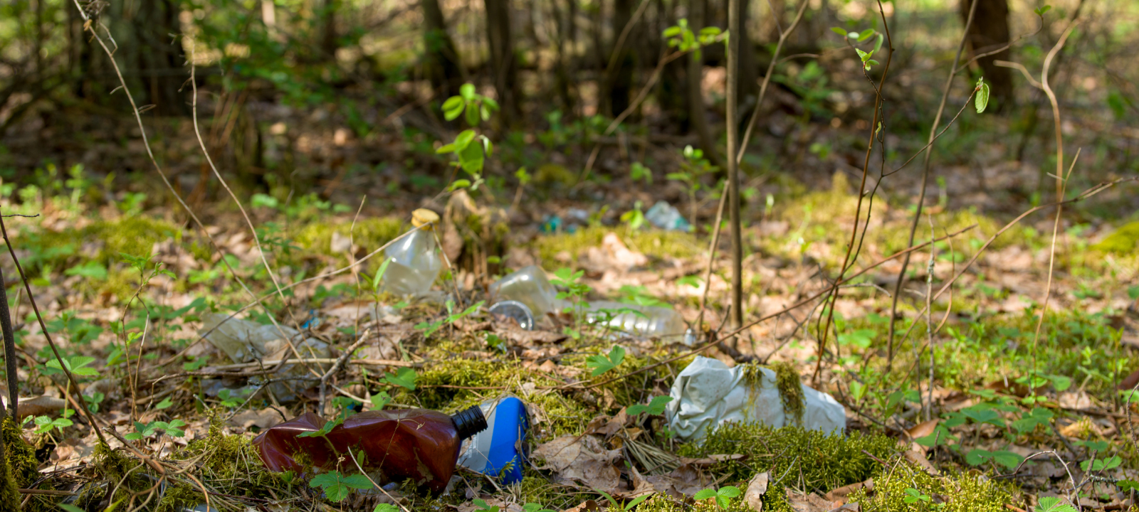 Dortmund will mehr Mülldetektive