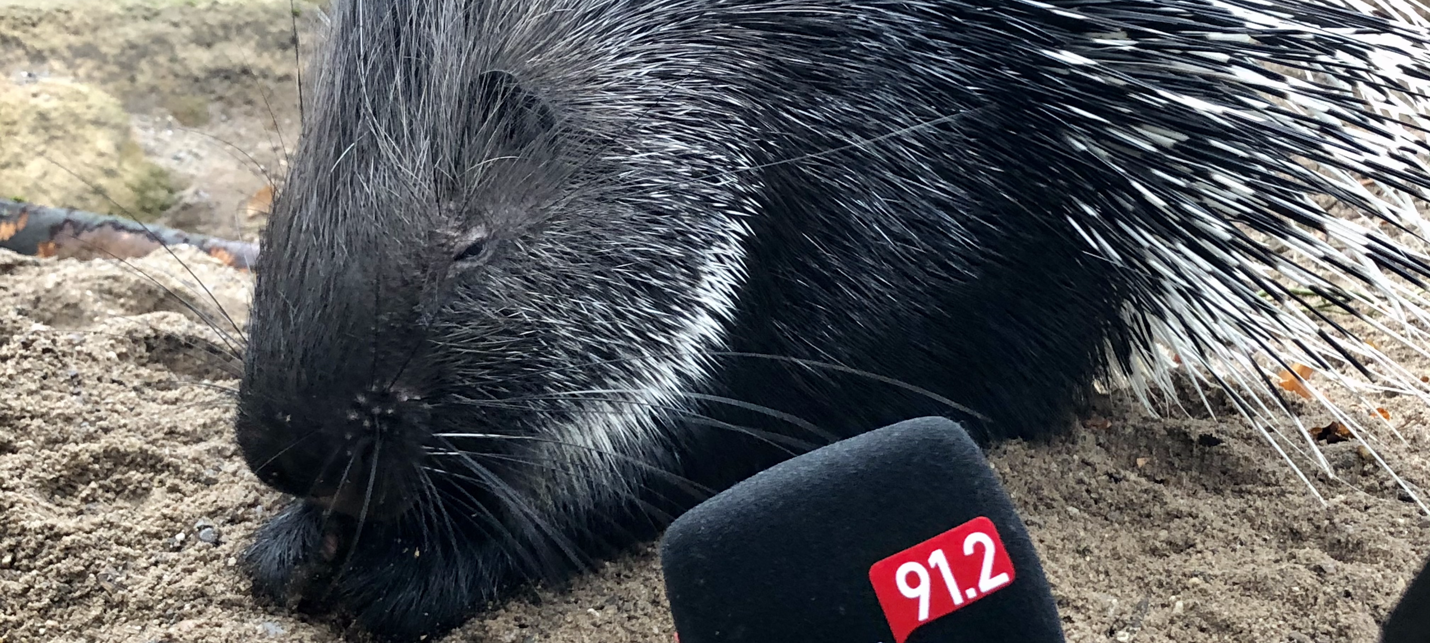 Zoo Dortmund: Das Ferien-Programm im Herbst 2020