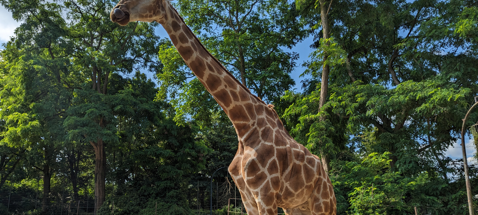 Dortmunder Momente 2023: Radio 91.2 unterwegs im Zoo Dortmund