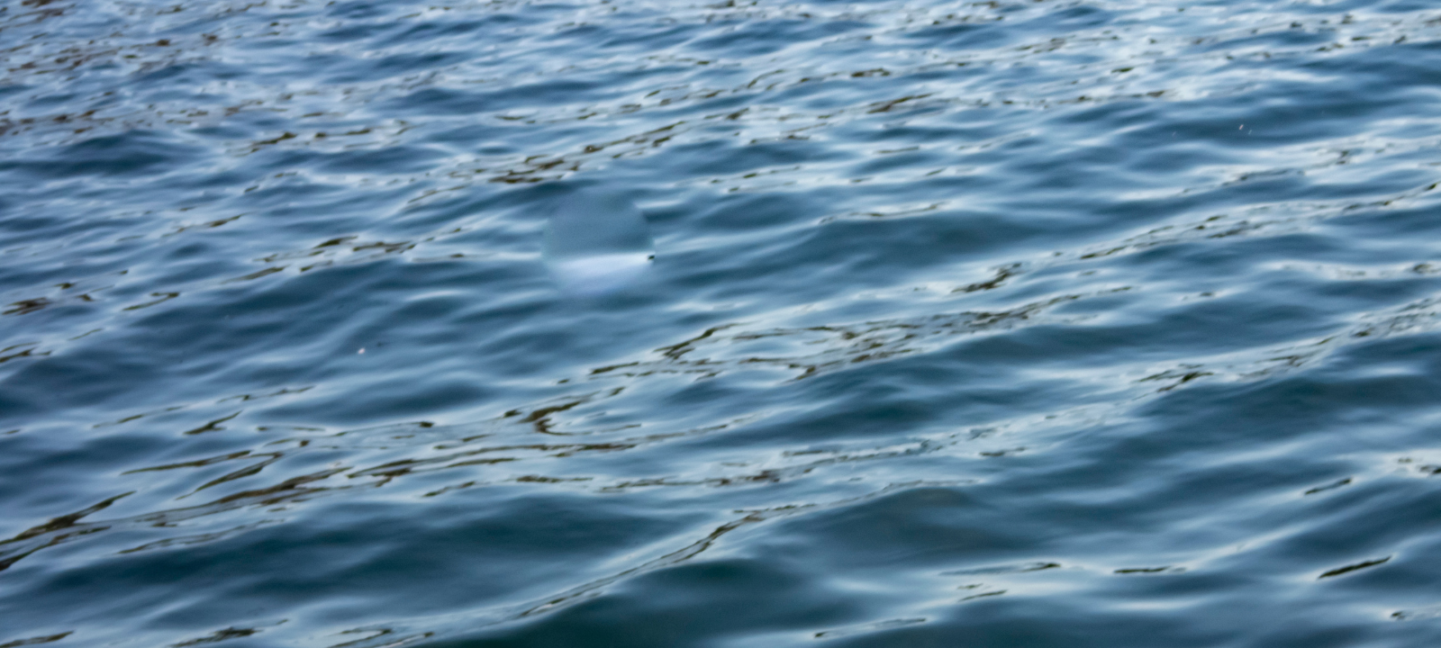 Tote bei Bootsunglück aus Dortmund