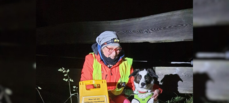 Amico aus Dortmund ist der erste Giftköder-Suchhund