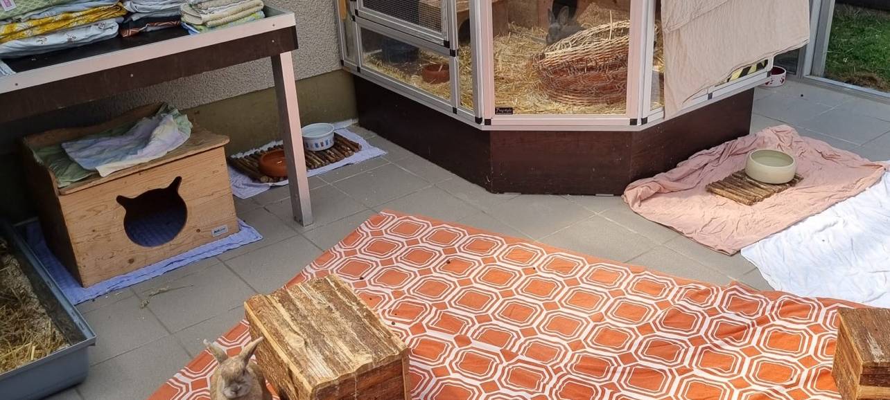 Immer mehr Kleintiere im Dortmunder Tierheim