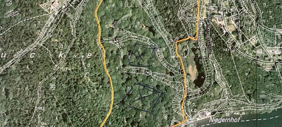 So wild ist Dortmund: Wir haben einen Urwald