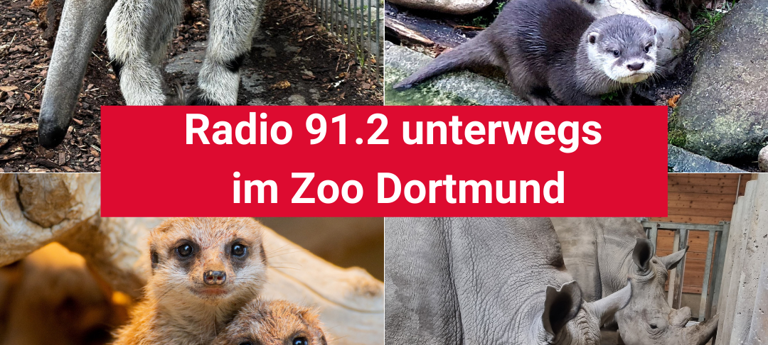 Dortmunder Momente 2023: Radio 91.2 unterwegs im Zoo Dortmund