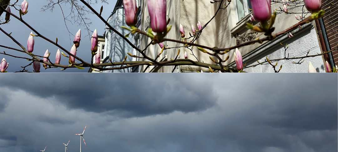 Stadt oder Land: Wie sieht es in Dortmund aus?