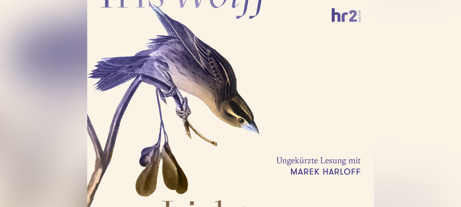 Buchtipp: Iris Wolff - Lichtungen