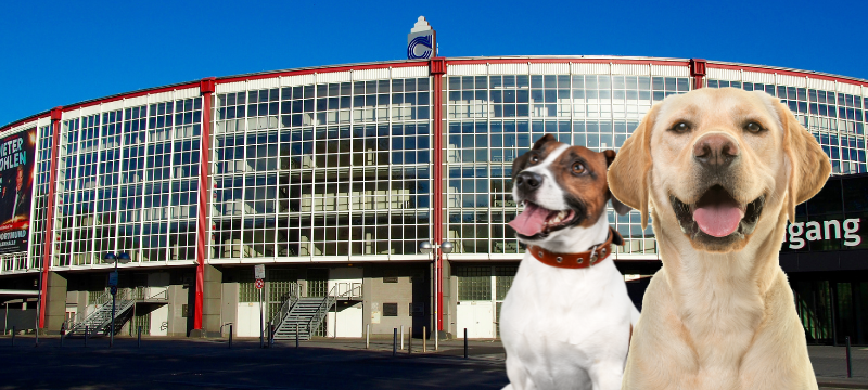 Dortmund: Hundemesse "Dogs & Fun" startet