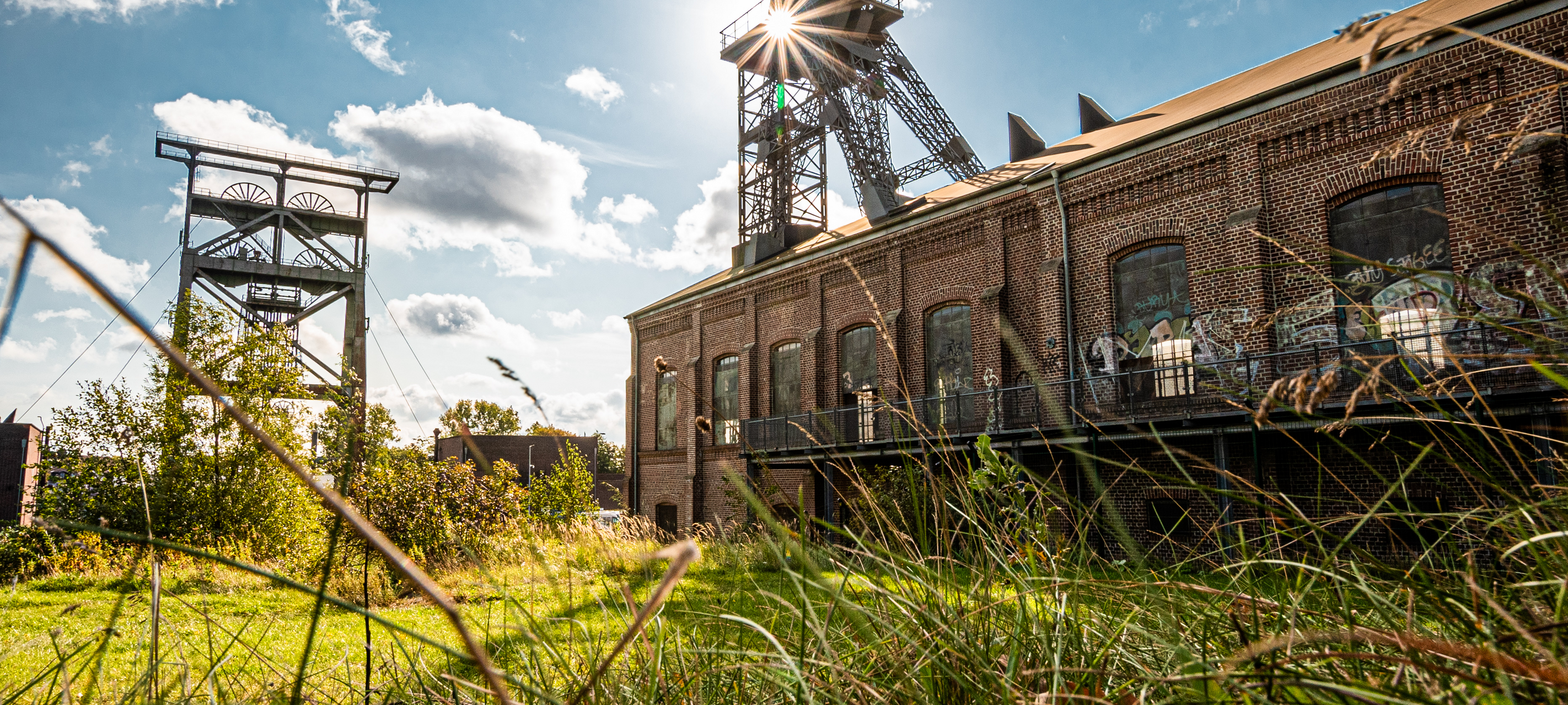 Grünes Dortmund erleben