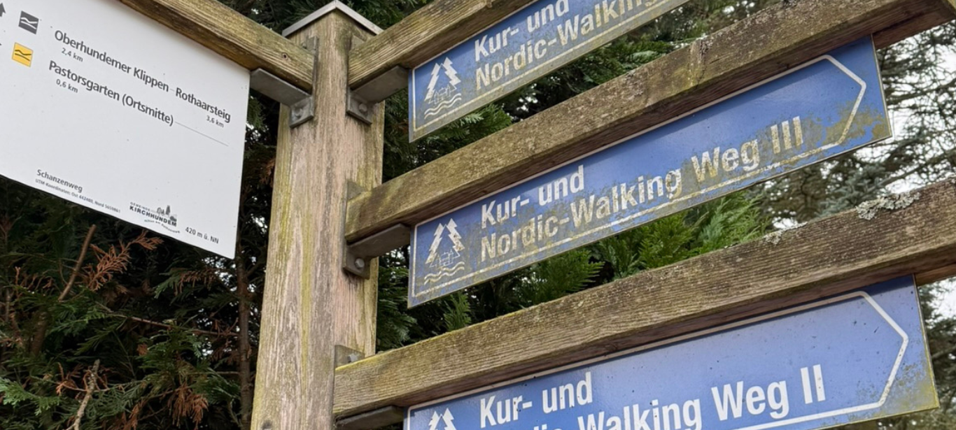 Die letzten Fichten für den Dortmunder Weihnachtsbaum