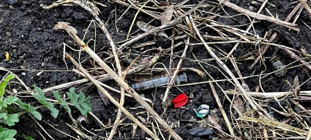 Hoetger-Park in Dortmund soll schöner werden