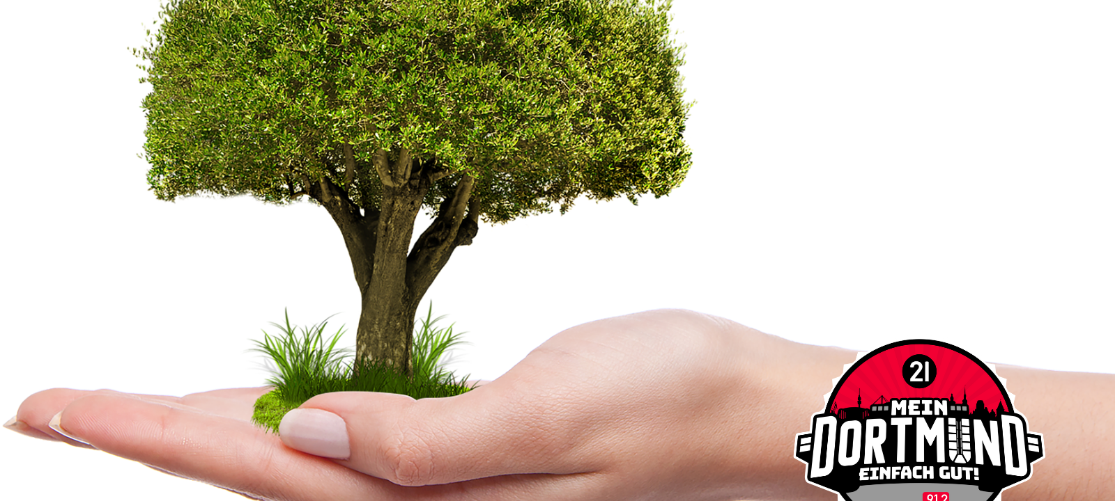 Stadt Dortmund verschenkt Obstbäume