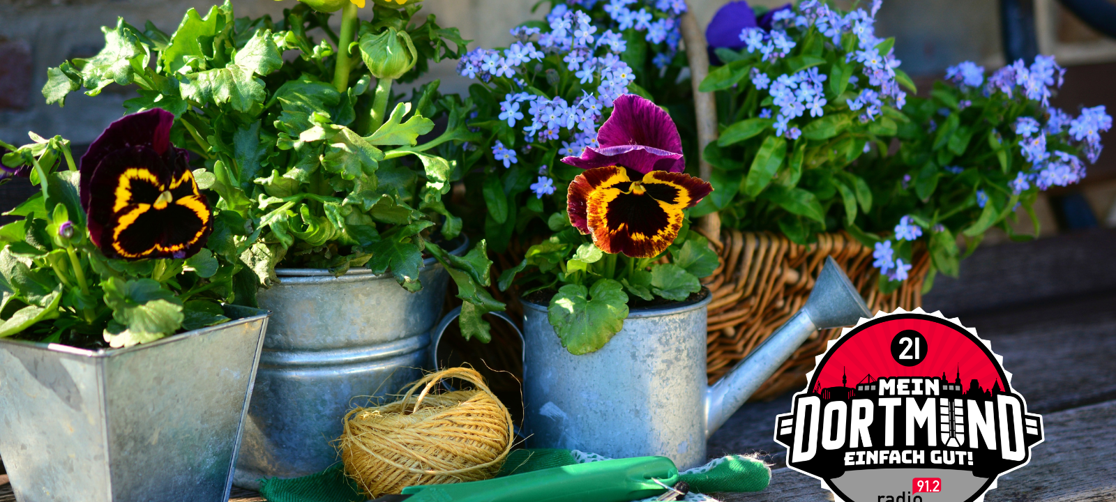 Werdet Teil der IGA 2027