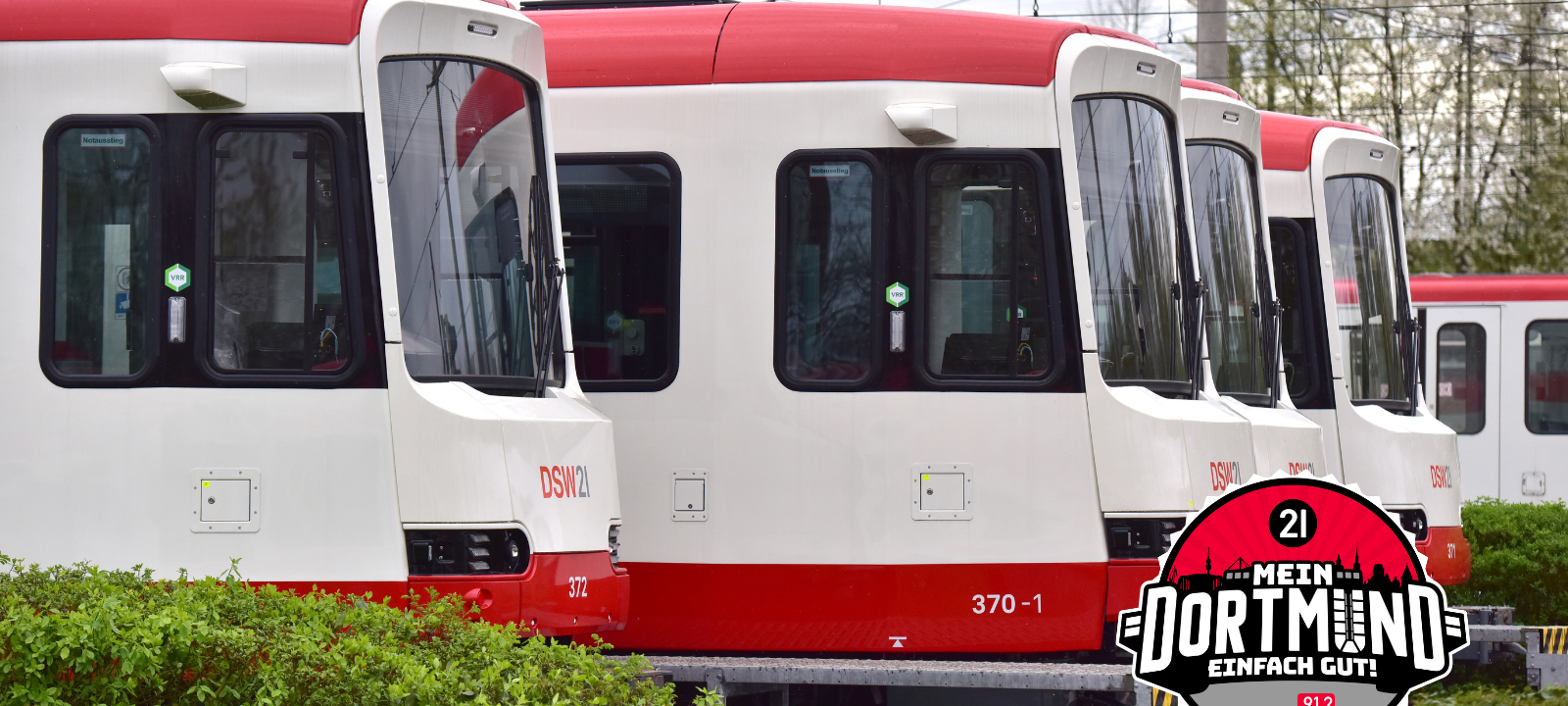 Raus aus dem Tarifdschungel