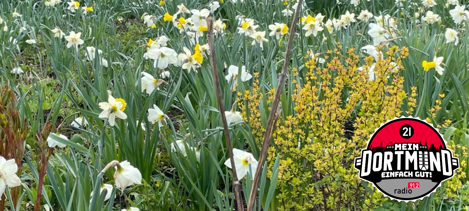 Einer der schönsten Parks in Deutschland