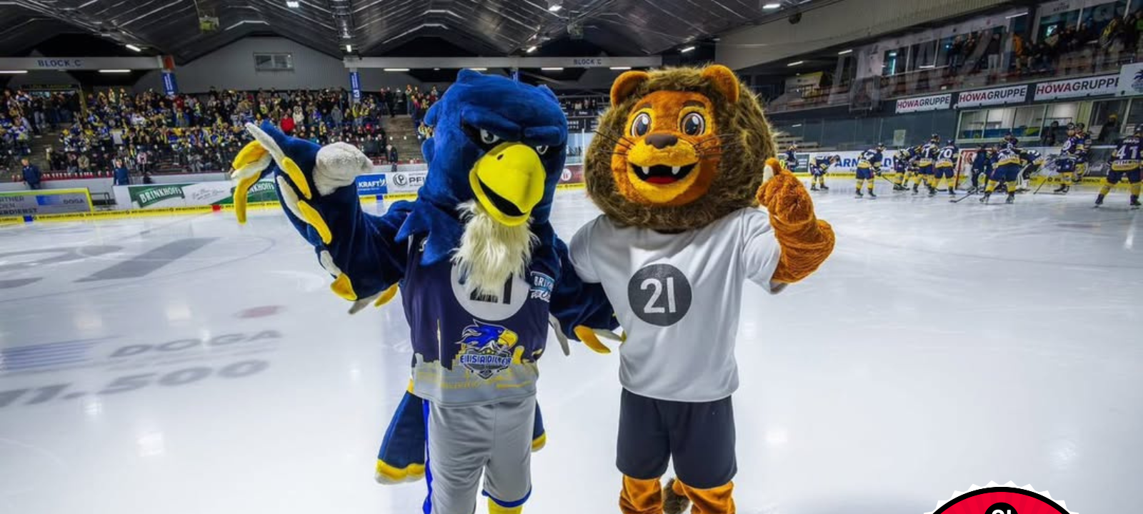 EINFACH GUT: Eisadler