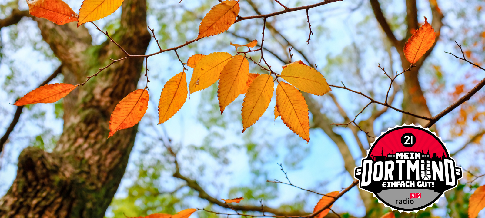 Herbstbasteln im Naturmuseum Dortmund