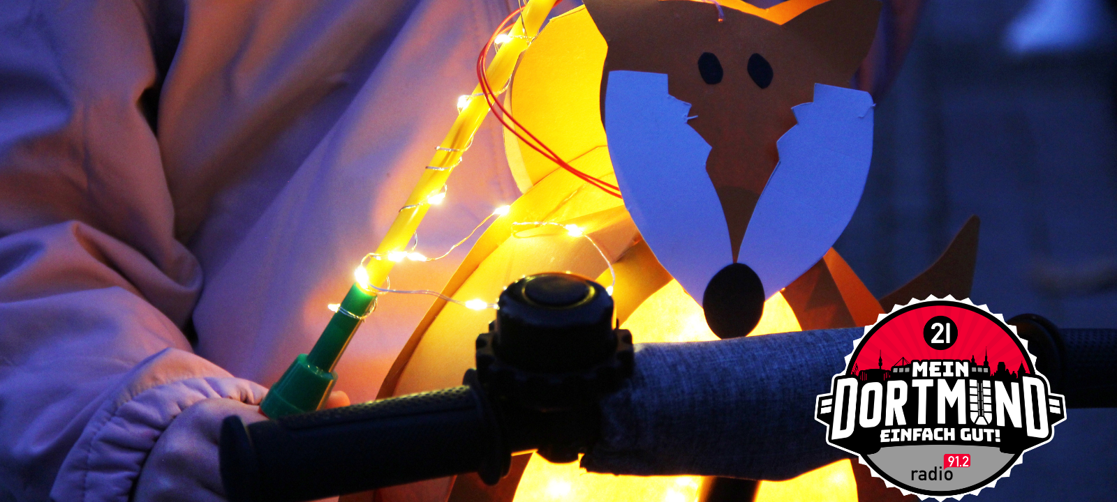 Dortmund: St. Martinsumzug im Westfalenpark