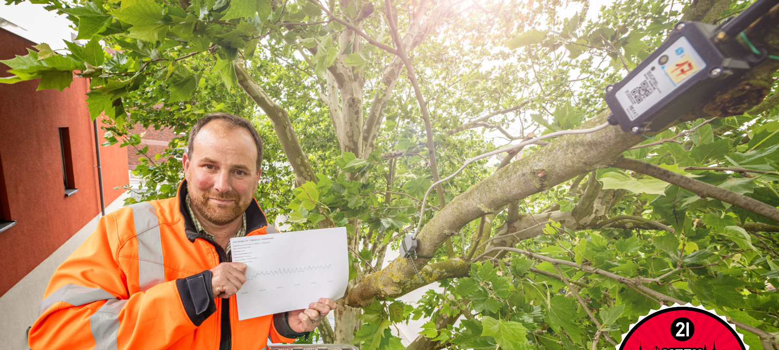 Dortmund: Sensoren in Bäumen für mehr Feuchtigkeit