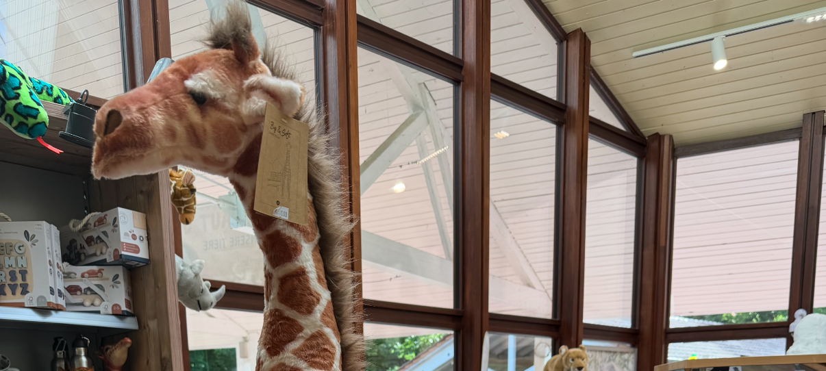 Im Dortmunder Zooshop ist eine 1,80 Meter große Giraffe geklaut worden.