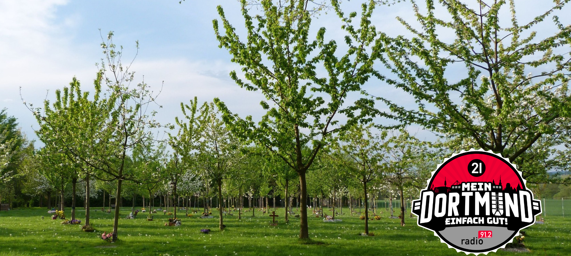 Kostenlose Obstbäume für Menschen in Dortmund